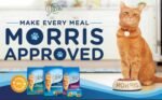 9Lives Plus Care Dry Cat Food, 3.15 lb. Bag (Pack of 4) - Image 3