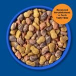 9Lives Daily Essentials Dry Cat Food With Chicken, Beef & Salmon Flavors, 3.15 lb Bag - Image 4