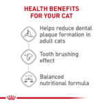 Royal Canin Feline Care Nutrition Dental Care Dry Cat Food - Image 6