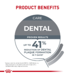 Royal Canin Feline Care Nutrition Dental Care Dry Cat Food - Image 7