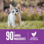 ORIJEN Grain-Free Kitten Recipe Dry Cat Food - Image 5