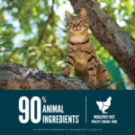 ORIJEN Guardian 8 Recipe Adult Cat Food - Image 5