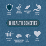 ORIJEN Guardian 8 Recipe Adult Cat Food - Image 6