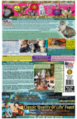 Gentle Giants Natural Non-GMO Chicken/Fish Cat & Kitten Food - Image 2