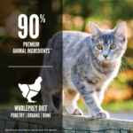 ORIJEN Original Cat Grain Free Dry Cat Food - Image 5