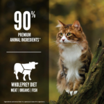 ORIJEN Grain Free Regional Red Dry Cat Food - Image 3