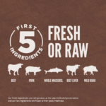 ORIJEN Grain Free Regional Red Dry Cat Food - Image 5