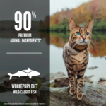 ORIJEN Grain Free Six Fish Dry Cat Food - Image 5