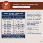 Natural Balance Limited Ingredient Grain Free Dry Dog Food, Salmon & Sweet Potato Recipe - Image 11