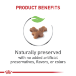 Royal Canin Feline Health Nutrition Kitten Dry Kitten Food - Image 6