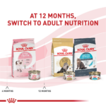 Royal Canin Feline Health Nutrition Kitten Dry Kitten Food - Image 9