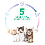Hill's Science Diet Kitten Chicken Recipe Dry Cat Food - Image 8