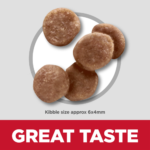 Hill's Science Diet Kitten Chicken Recipe Dry Cat Food - Image 10