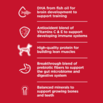 Hill's Science Diet Kitten Chicken Recipe Dry Cat Food - Image 13