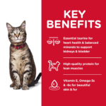 Hill's Science Diet Adult Chicken Recipe Dry Cat Food - Image 4