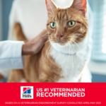 Hill's Science Diet Adult Chicken Recipe Dry Cat Food - Image 7