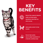 Hill's Science Diet Adult Indoor Chicken Recipe Dry Cat Food - Image 3