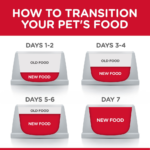 Hill's Science Diet Adult Light Chicken Recipe Dry Cat Food - Image 8
