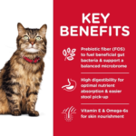 Hill's Science Diet Adult Sensitive Stomach & Skin Chicken & Rice Recipe Dry Cat Food - Image 3