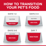 Hill's Science Diet Adult Sensitive Stomach & Skin Chicken & Rice Recipe Dry Cat Food - Image 7