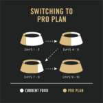 ProPlan Sensitive Skin & Stomach Salmon and Rice Dry Dog Food - Image 6