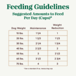 Nutro Ultra Weight Management Dry Dog Food - Image 6