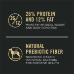 ProPlan Chicken and Rice Large Breed Adult Dry Dog Food - Image 2