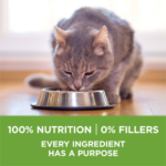 One Indoor Advantage Dry Cat Food - Image 8