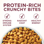 One Urinary Tract Health Dry Cat Food - Image 4