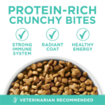 One Sensitive Skin and Stomach Dry Cat Food - Image 3