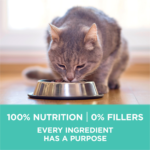 One Sensitive Skin and Stomach Dry Cat Food - Image 5