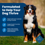 Blue Buffalo Life Protection Formula Adult Chicken & Brown Rice Recipe Dry Dog Food - Image 4