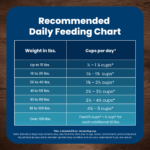 Blue Buffalo Life Protection Formula Adult Chicken & Brown Rice Recipe Dry Dog Food - Image 6