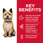 Hill's Science Diet Adult Healthy Mobility SM Bites Chicken Meal, Brown Rice & Barley Recipe Dry Dog Food - Image 3