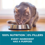 One Tender Selects Blend Real Chicken Dry Cat Food - Image 3