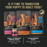 ProPlan Lamb and Rice Dry Puppy Food - Image 8
