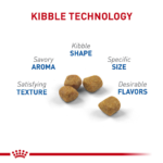 Royal Canin Indoor 7+ Dry Cat Food - Image 4