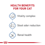 Royal Canin Indoor 7+ Dry Cat Food - Image 5