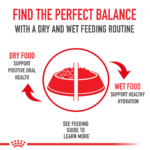 Royal Canin Indoor 7+ Dry Cat Food - Image 9