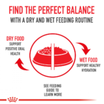 Royal Canin Feline Hairball Care Dry Cat Food - Image 8