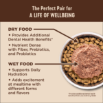 Wellness CORE Grain Free Natural Indoor Health Chicken and Turkey Recipe Dry Cat Food - Image 6