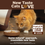 Wellness CORE Grain Free Natural Indoor Health Chicken and Turkey Recipe Dry Cat Food - Image 9