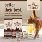 Wellness CORE Grain Free Natural Indoor Health Chicken and Turkey Recipe Dry Cat Food - Image 2