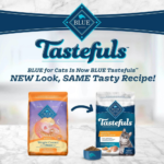 Blue Buffalo Tastefuls Adult Cat Weight Control Chicken & Brown Rice Recipe Dry Food - Image 2