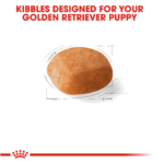 Royal Canin Breed Health Nutrition Golden Retriever Puppy Dry Dog Food - Image 8
