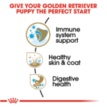 Royal Canin Breed Health Nutrition Golden Retriever Puppy Dry Dog Food - Image 9