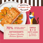 Merrick Purrfect Bistro Grain Free Real Salmon & Sweet Potato Recipe Dry Cat Food - Image 4