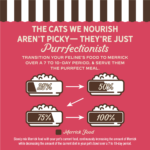 Merrick Purrfect Bistro Grain Free Real Salmon & Sweet Potato Recipe Dry Cat Food - Image 5