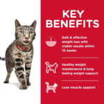 Hill's Science Diet Adult Perfect Weight Chicken Recipe Dry Cat Food - Image 3