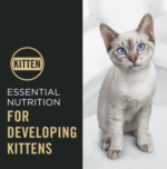 ProPlan Complete Essentials Chicken and Rice Dry Kitten Food - Image 3